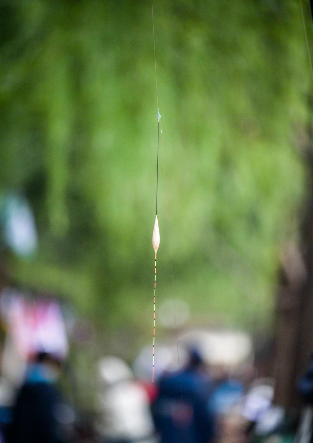 冬钓夜光漂先换对电池：316、322、425一次分清