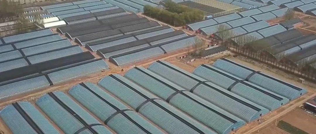 双11给老家买太阳能监控，先读完海康这3条真实