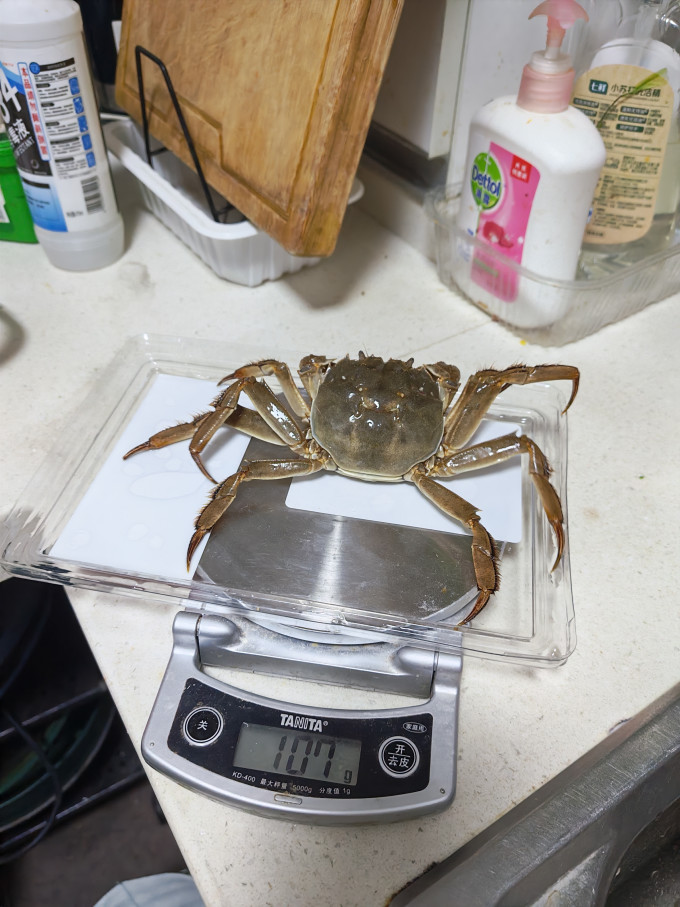 天猫超市海鲜水产