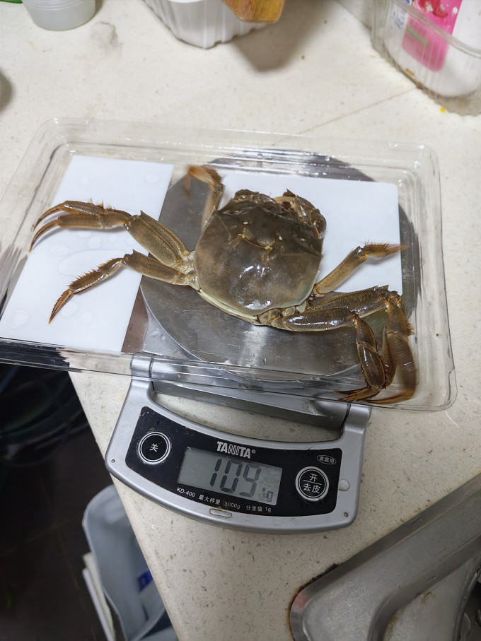 天猫超市海鲜水产