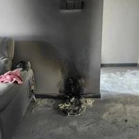 马桶烧成只剩底座：疑因线路短路，双11前这类“常年通电”电器，下单先查这三件事