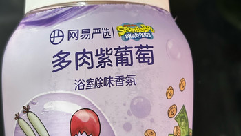 网易严选×海绵宝宝 多肉紫葡萄香氛