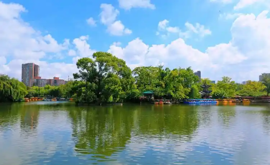 带娃昆明4天3晚追鸥：来早来晚是两副面孔（附分龄路线与账）