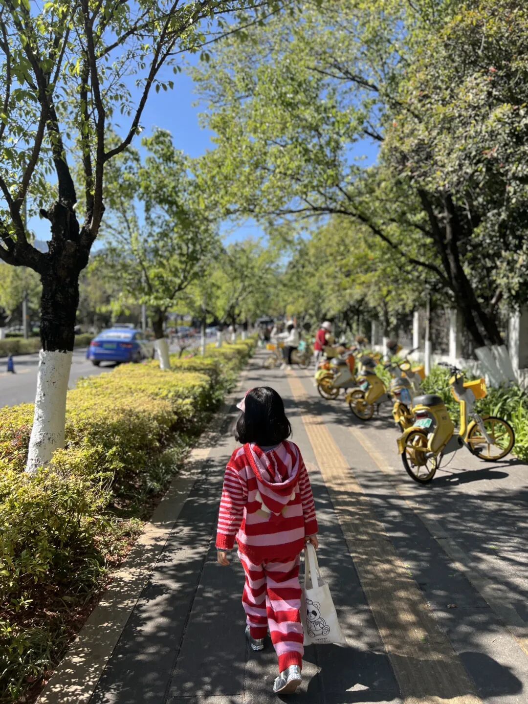 带娃昆明4天3晚追鸥：来早来晚是两副面孔（附分龄路线与账）