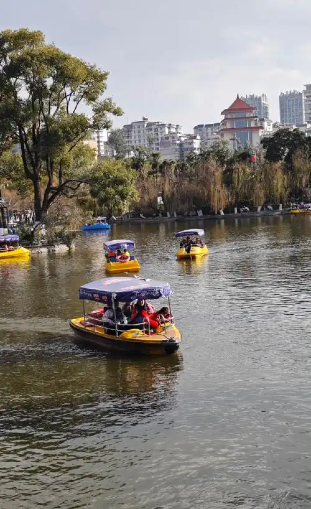 带娃昆明4天3晚追鸥：来早来晚是两副面孔（附分龄路线与账）