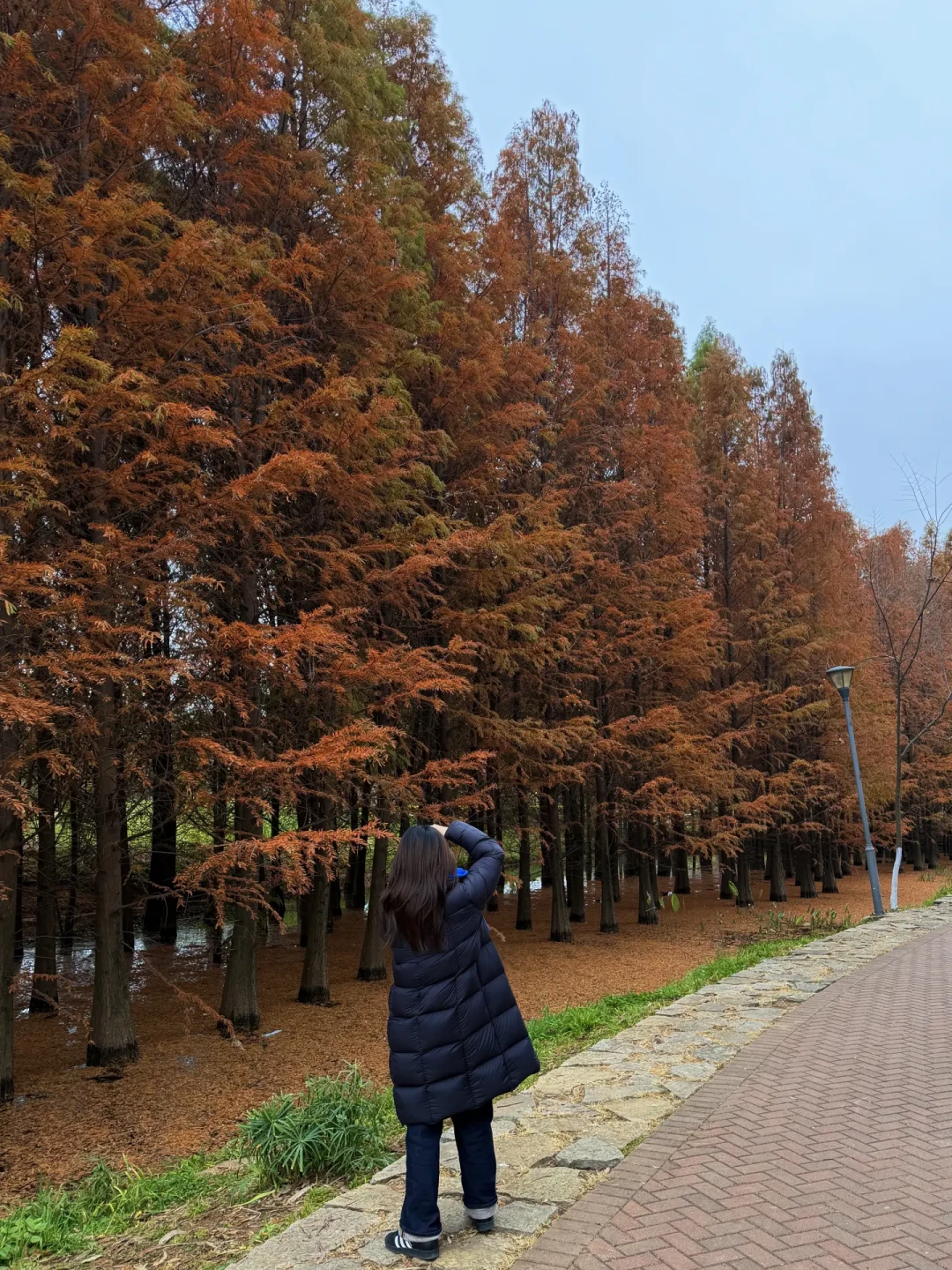 带娃昆明4天3晚追鸥：来早来晚是两副面孔（附分龄路线与账）