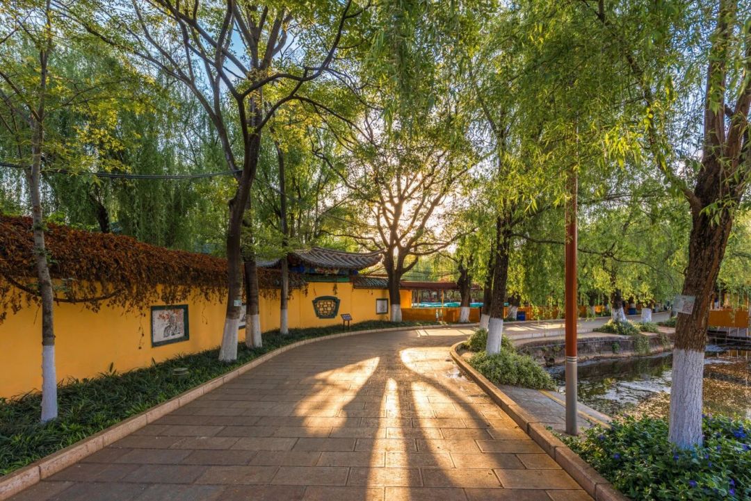 带娃昆明4天3晚追鸥：来早来晚是两副面孔（附分龄路线与账）
