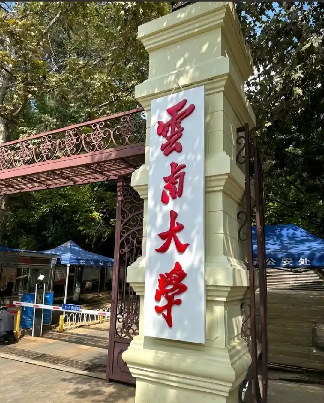 带娃昆明4天3晚追鸥：来早来晚是两副面孔（附分龄路线与账）