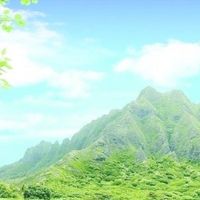 给长辈挑淡干海参，我搞清楚的四件事（附五款对照）