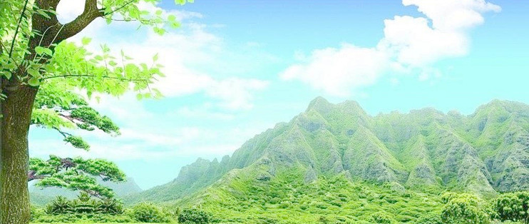 给长辈挑淡干海参，我搞清楚的四件事（附五款对照）