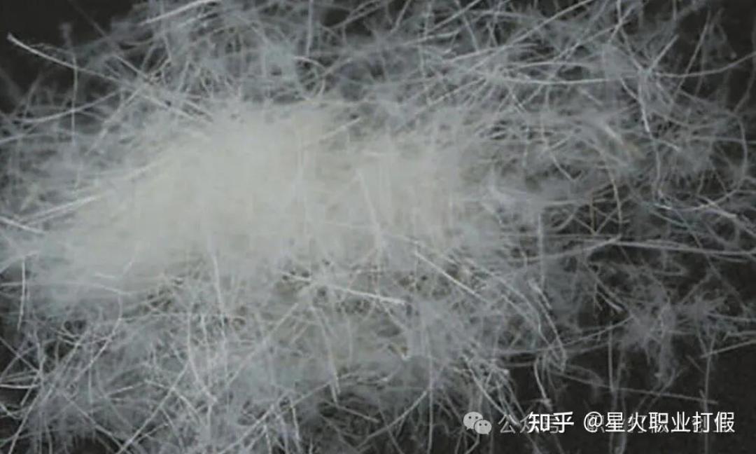 鹅绒原料公斤价上千元档，双11却有"800蓬鹅绒"卖几百元档：这波好价是真绒还是充丝？