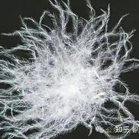 鹅绒原料公斤价上千元档，双11却有"800蓬鹅绒"卖几百元档：这波好价是真绒还是充丝？