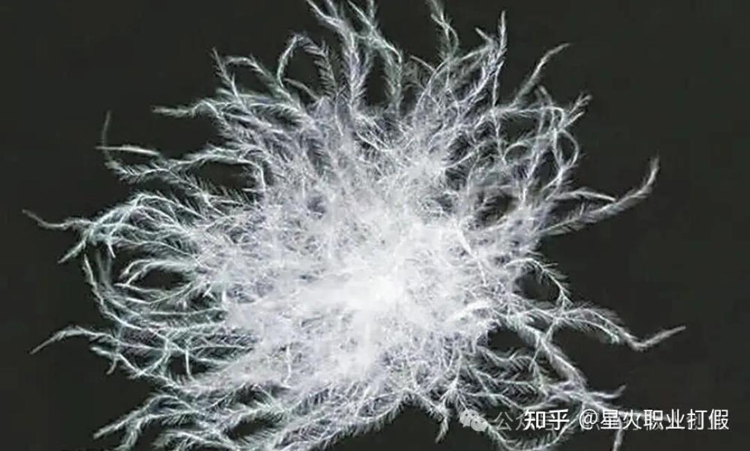 鹅绒原料公斤价上千元档，双11却有"800蓬鹅绒"卖几百元档：这波好价是真绒还是充丝？