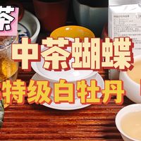 【福鼎白茶】中茶蝴蝶2025特级白牡丹「散茶」测评（261024）
