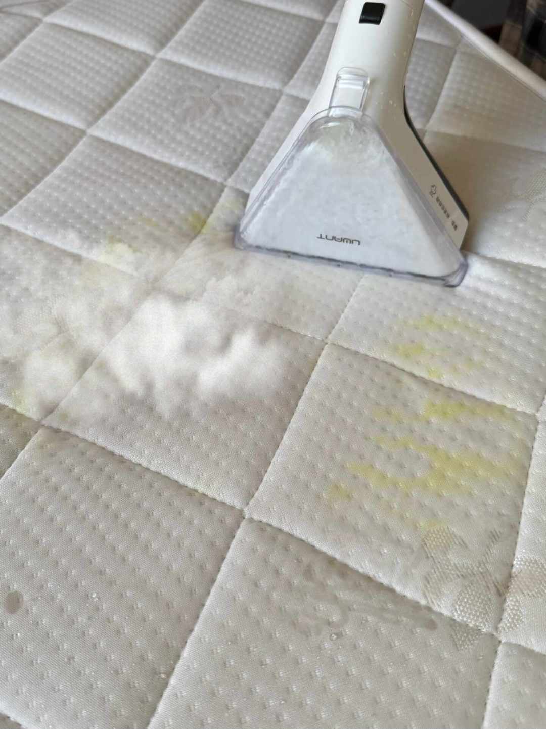 一台吵到“油烟机都得叫大哥”的蒸汽清洁机,双11前火了:夸党和劝退党都在,广告帖也在