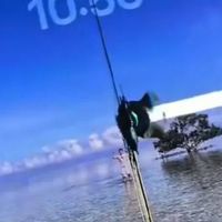iPhone Duo 首发翻车，屏幕直接破裂...