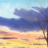 美嘉年益生菌套餐均价一览：六种规格逐项算