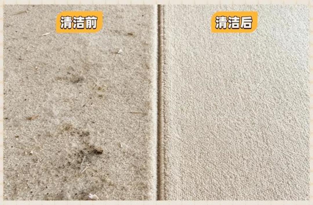 双11买除螨仪:让你打喷嚏的不是活螨虫,钱先花在这三处