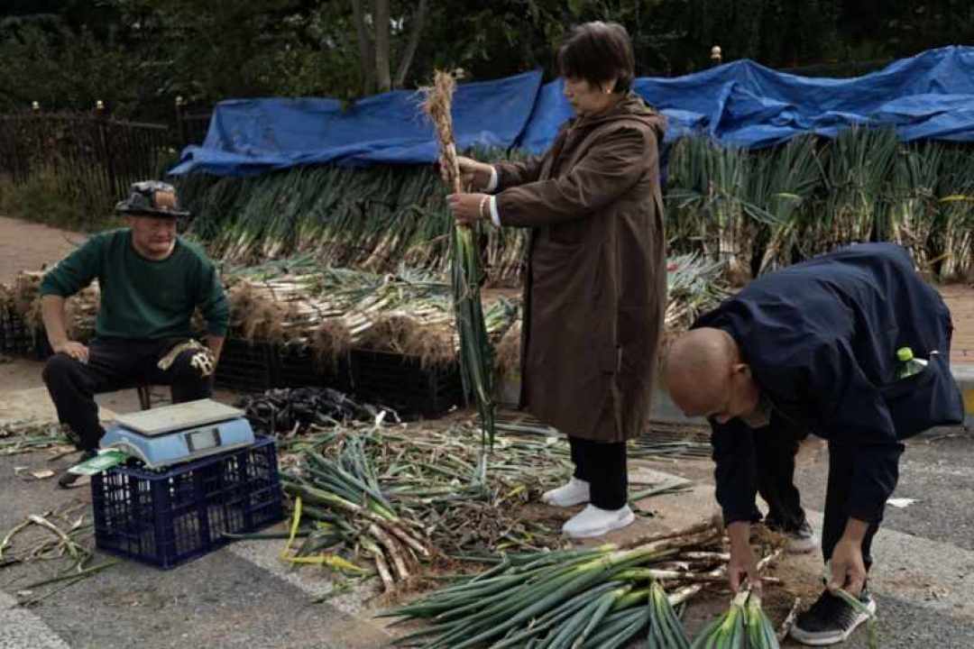 白菜蘸甲醛，3人被刑拘：冰箱里那颗放不蔫的白菜，大概率是无辜的