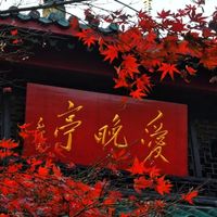 比苏杭晚一个月，长沙带娃3天2晚，一半景点免门票（附预算表）