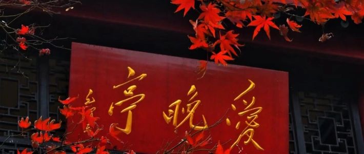 比苏杭晚一个月，长沙带娃3天2晚，一半景点免门票（附预算表）