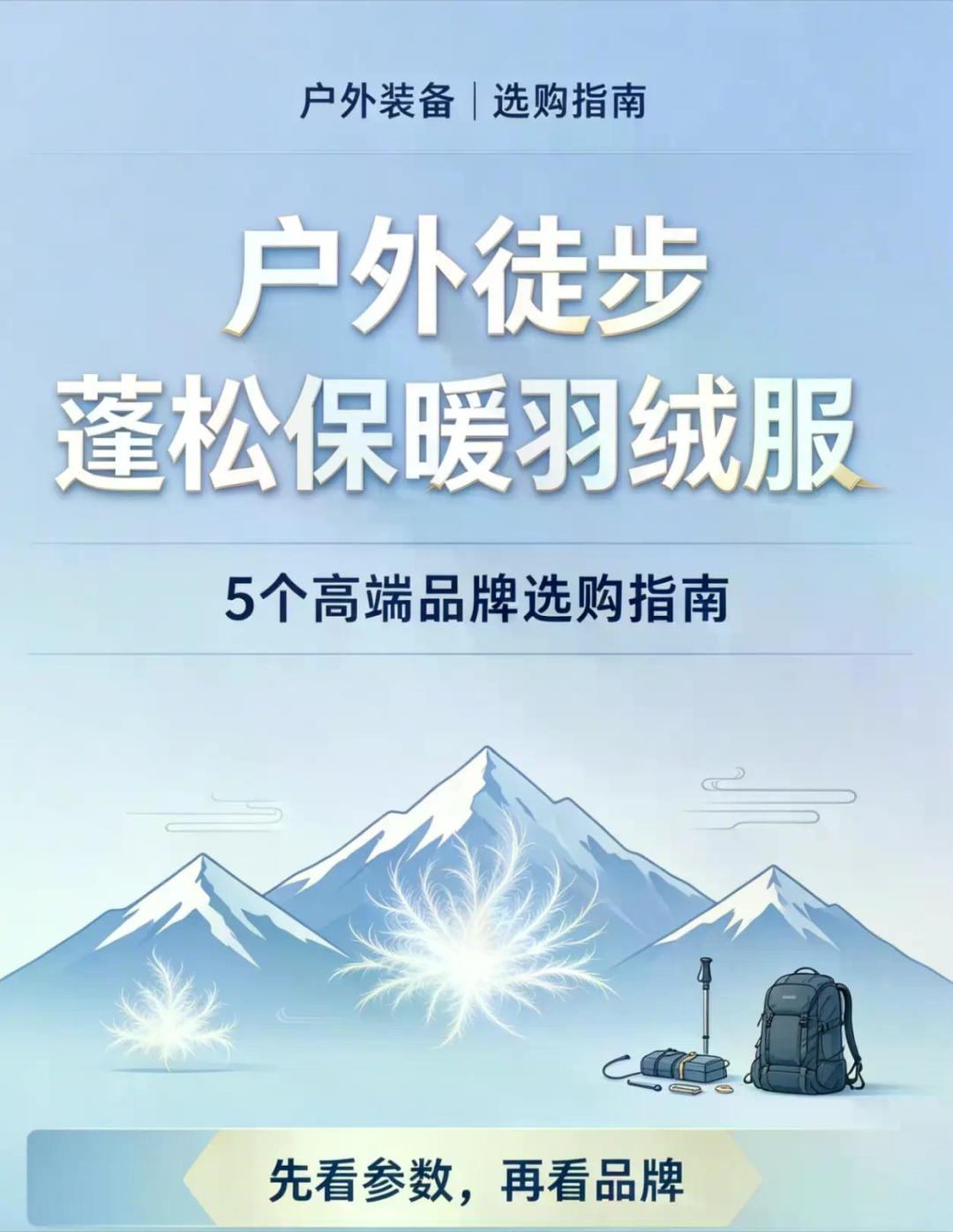 凯乐石1000蓬的羽绒服双11只卖五百多,能买吗?「顶级版」的详情页恰好缺三个数字