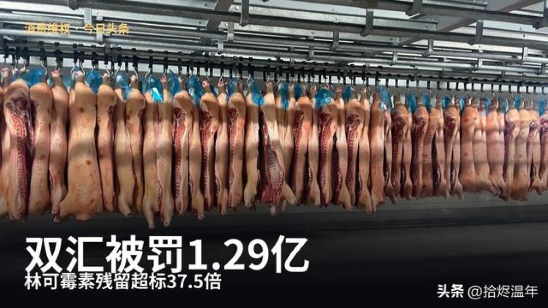 双汇1.29亿罚单,董事长个人顶格罚3764万:这回板子打到了人