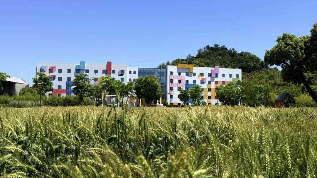 森泊只有夏天好玩吗?秋冬实测,实话实说