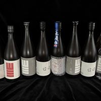 新酒洪峰来了，直购的管子先断了：矢岛、imadeya、saketime 集体维护，今年这批新酒去哪买