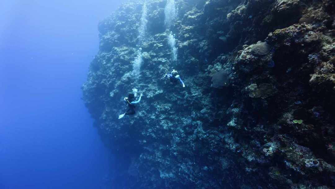 「在水下30米拔他的呼吸调节器」撞上「我潜水25年，没见过这么恶劣」：这个冬天要去帕劳的人，先把这两本账对完