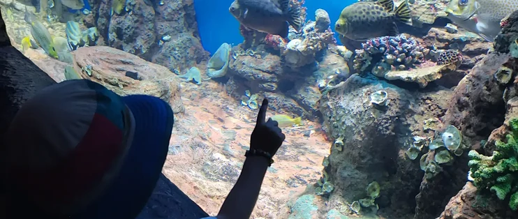 带娃避寒选北海还是海口？5个维度算完账，我站北海