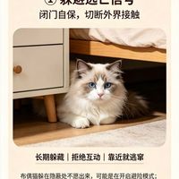 🐱识别猫咪应激4种表现，养猫人建议收藏
