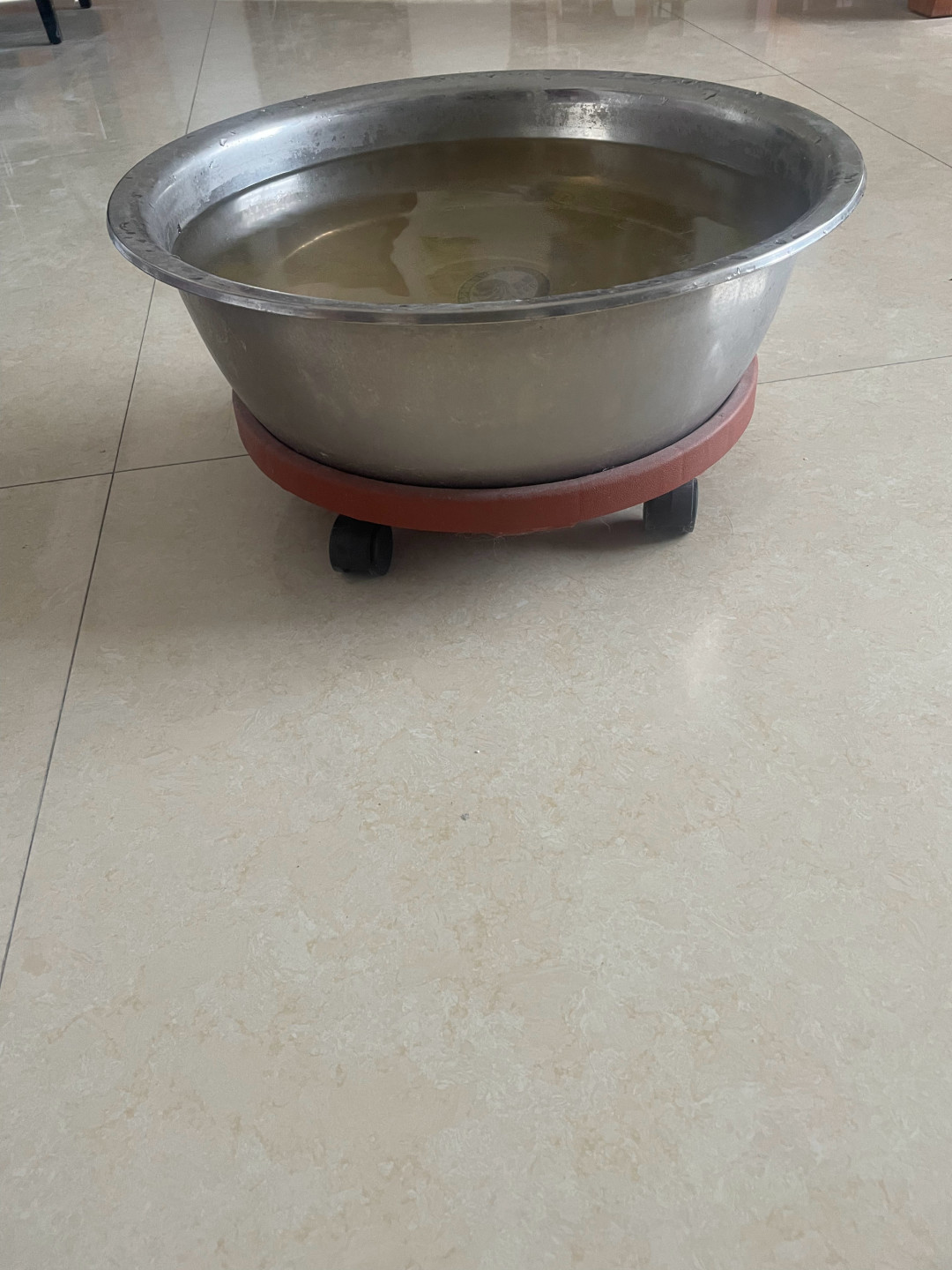 “邪修过日子”今年转正:一条塑料袋视频在B站被收藏19.5万次,这份红黄绿灯清单先看完再抄