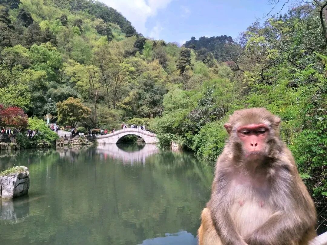 带娃贵州4天3晚:6岁以下门票全免,11月的大瀑布还好看吗