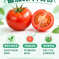 番茄是水果还是蔬菜?先看你在问什么