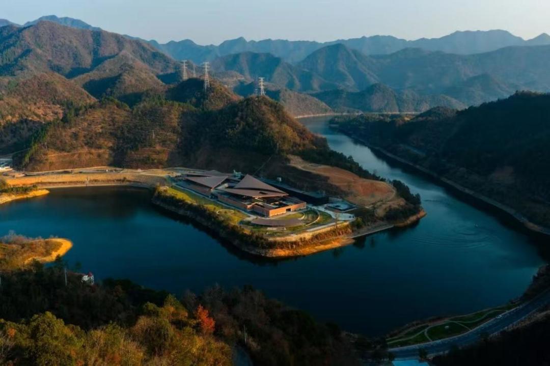 苏威关税减半,威士忌跌麻了:这次双11哪些酒能下手
