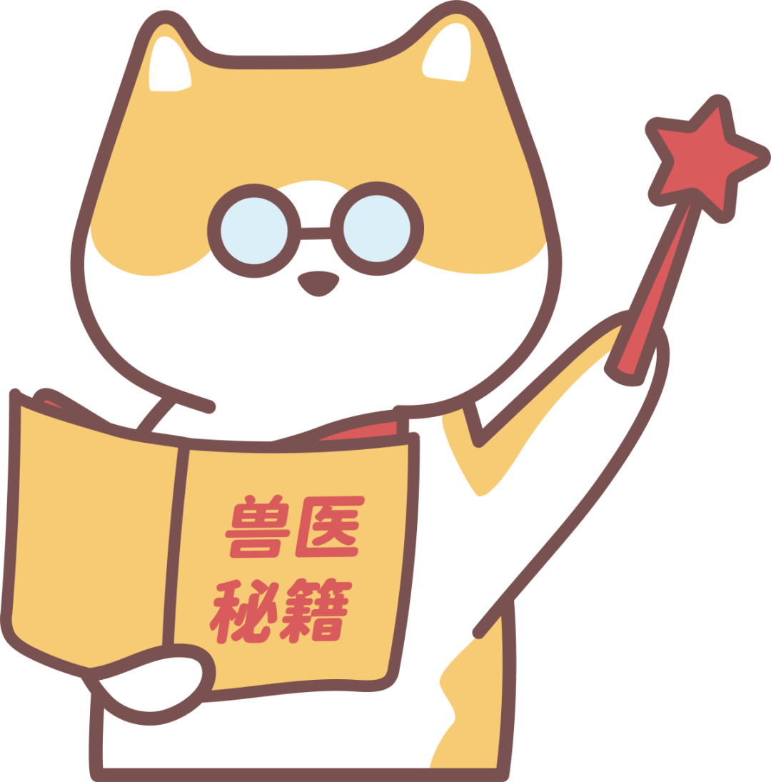 猫半夜吐了要不要马上送医院?分清呕吐物和状态再决定