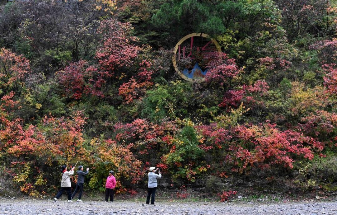 光雾山红了六成,香山才两成:一座山为什么不会一起红
