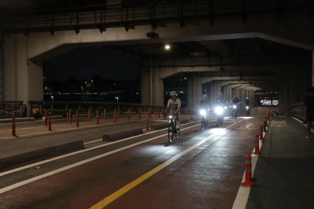 女子夜骑被狗追亡：骑车跑赢狗是赌博，先刹车站住才保命