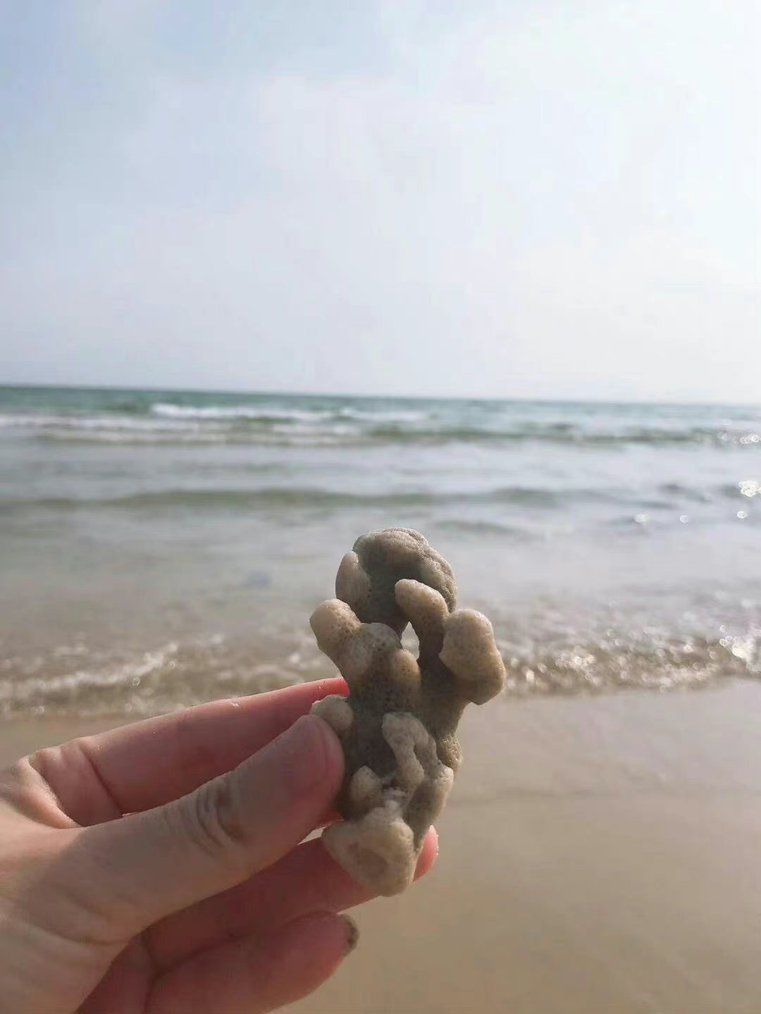赶海刷屏的