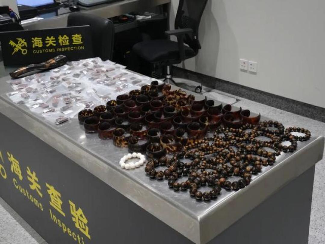 赶海刷屏的