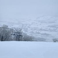 北大湖ClubMed开板:带娃滑雪真能解放双手?