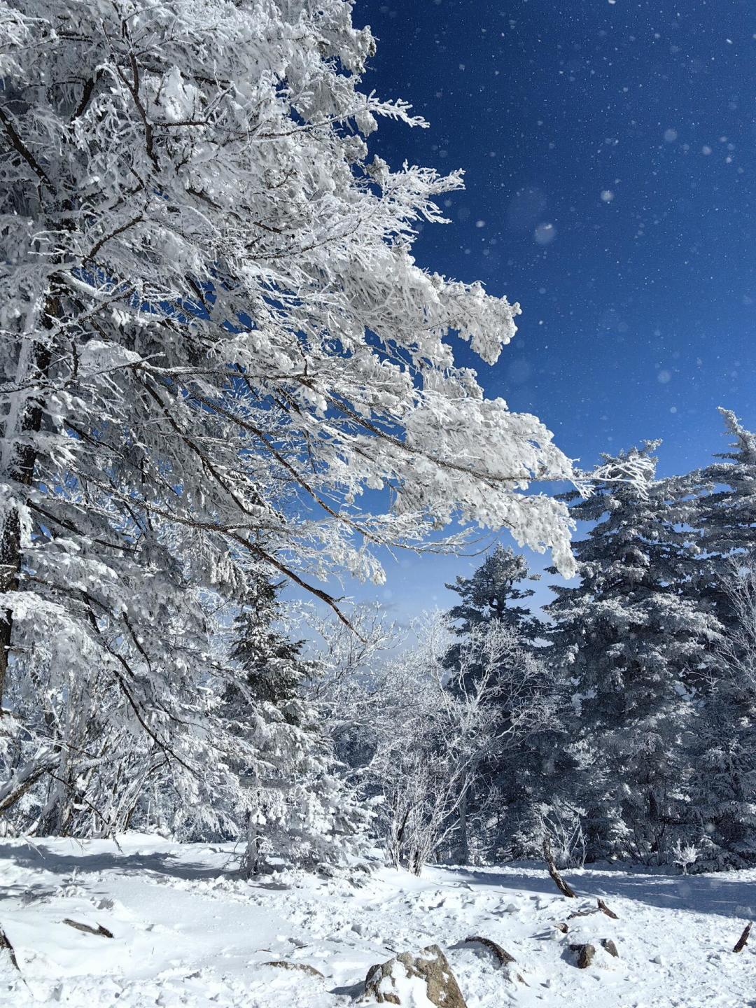 北大湖ClubMed开板:带娃滑雪真能解放双手?