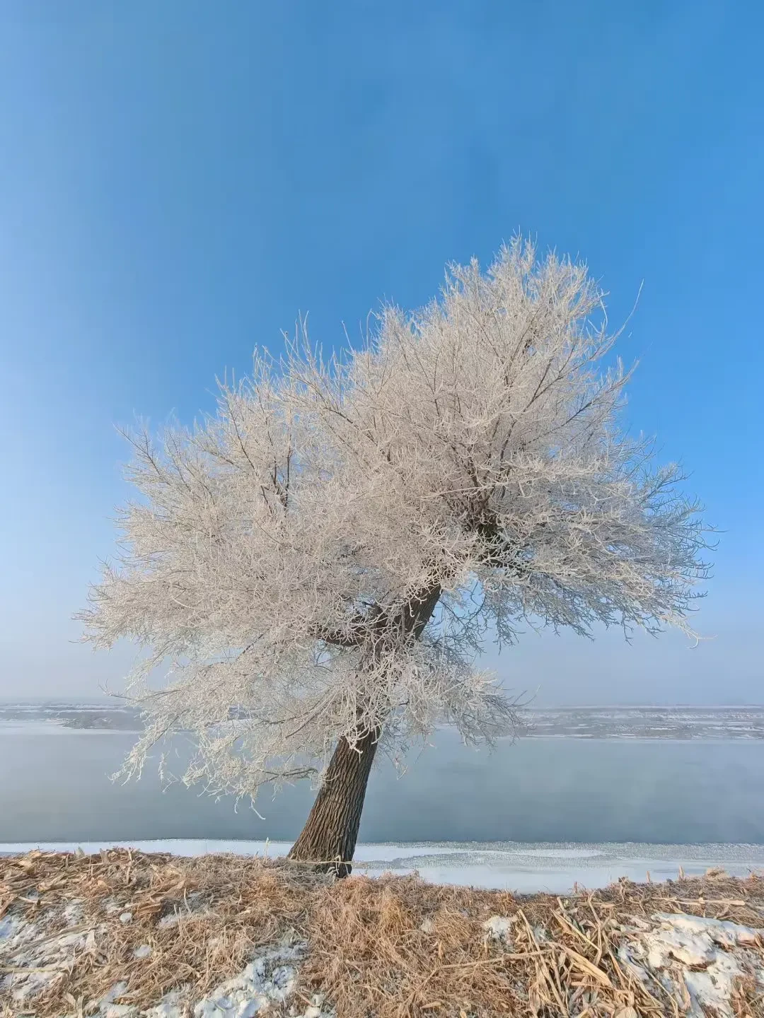 北大湖ClubMed开板:带娃滑雪真能解放双手?