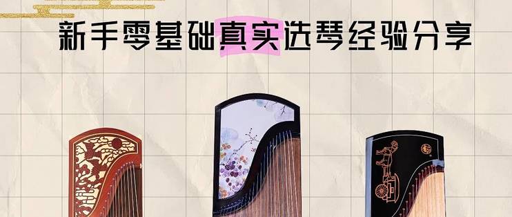 新手零基础真实选琴经验分享