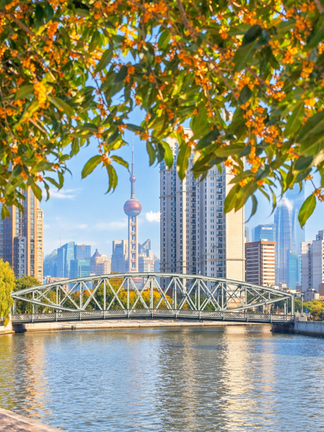 秋天Citywalk路线帖的收藏都比点赞高:北京高峰就这两周,杭州要等11月下旬——抄作业前先对完这张赏味日历、四个雷区