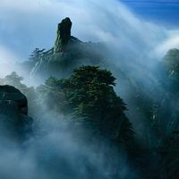 同样叫鱼油，为什么标签差别这么大？从含量、结构到版本逐款看