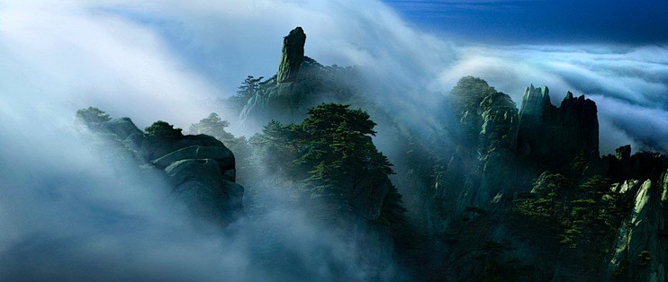 同样叫鱼油，为什么标签差别这么大？从含量、结构到版本逐款看