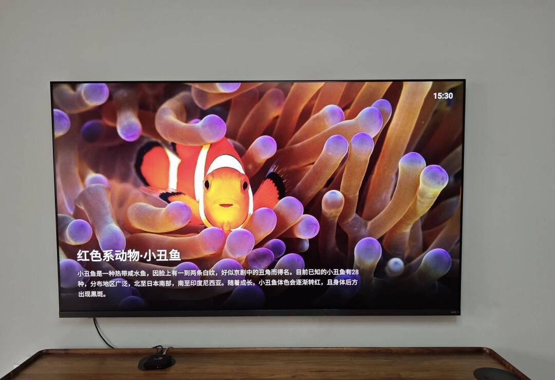 Vidda发现X Mini自述到手价从3099铺到4899:私聊报价喊