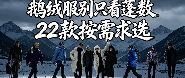 双11鹅绒服：四百多的800蓬只充74克，千档的650蓬反而塞320克，该冲哪个？